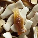 Coca cola Rellena